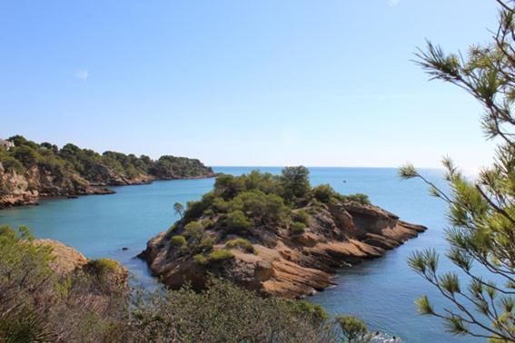 Apartamento Casita De Pescadores Con Vista Al Puerto L'Ametlla de Mar Exterior foto